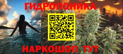 ПСИЛОЦИБИНОВЫЕ ГРИБЫ Гусь-Хрустальный