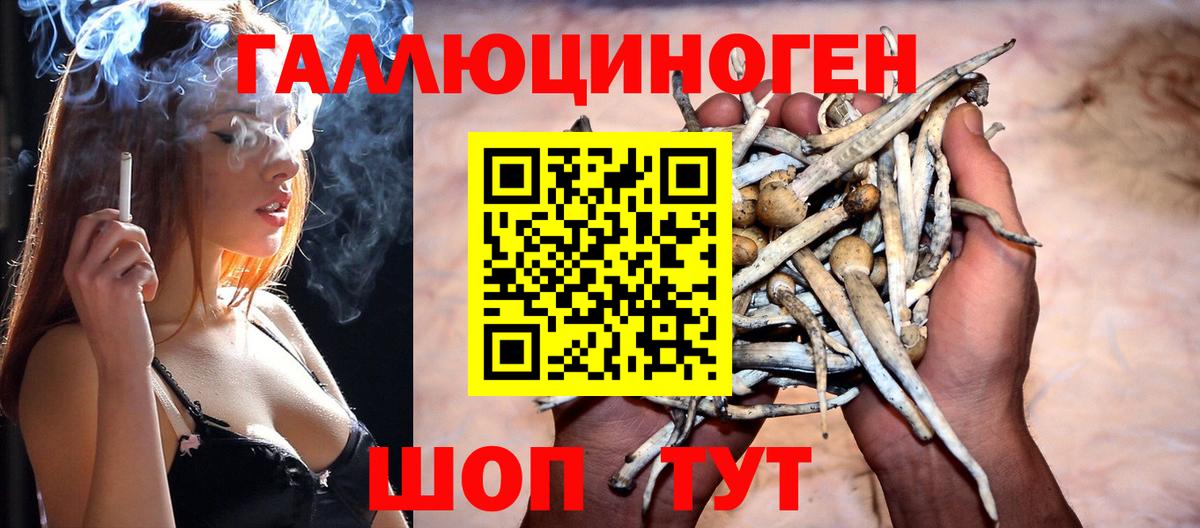 продажа наркотиков  Псилоцибиновые грибы MAGIC MUSHROOMS  Вход с VPN  Ефремов 
